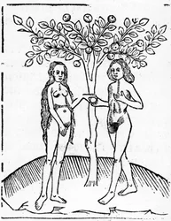 アダムとイブ、「Speculum Vitae Christi」からのイラスト、1491